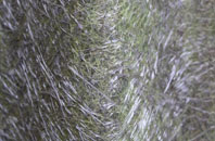 Rhoscolyn fibreglass roof work